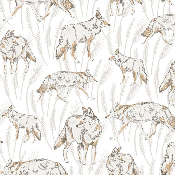 Coyote Putty Wallpaper - WYNIL by NumerArt Wallpaper and Art