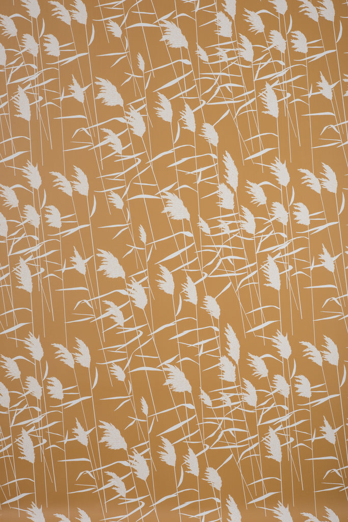 Grasses Dusk Wallpaper - WYNIL by NumerArt Wallpaper and Art