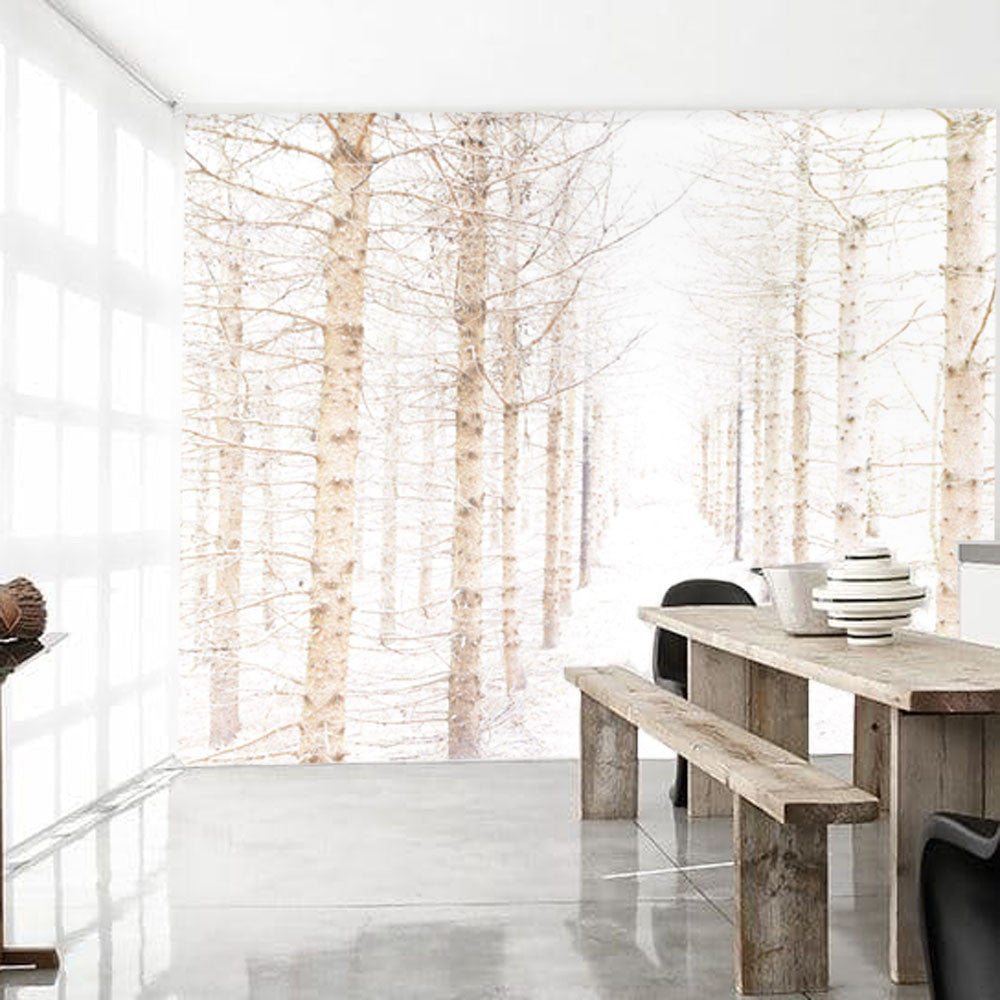 Warm Pale Pines Mural - WYNIL by NumerArt Wallpaper and Art